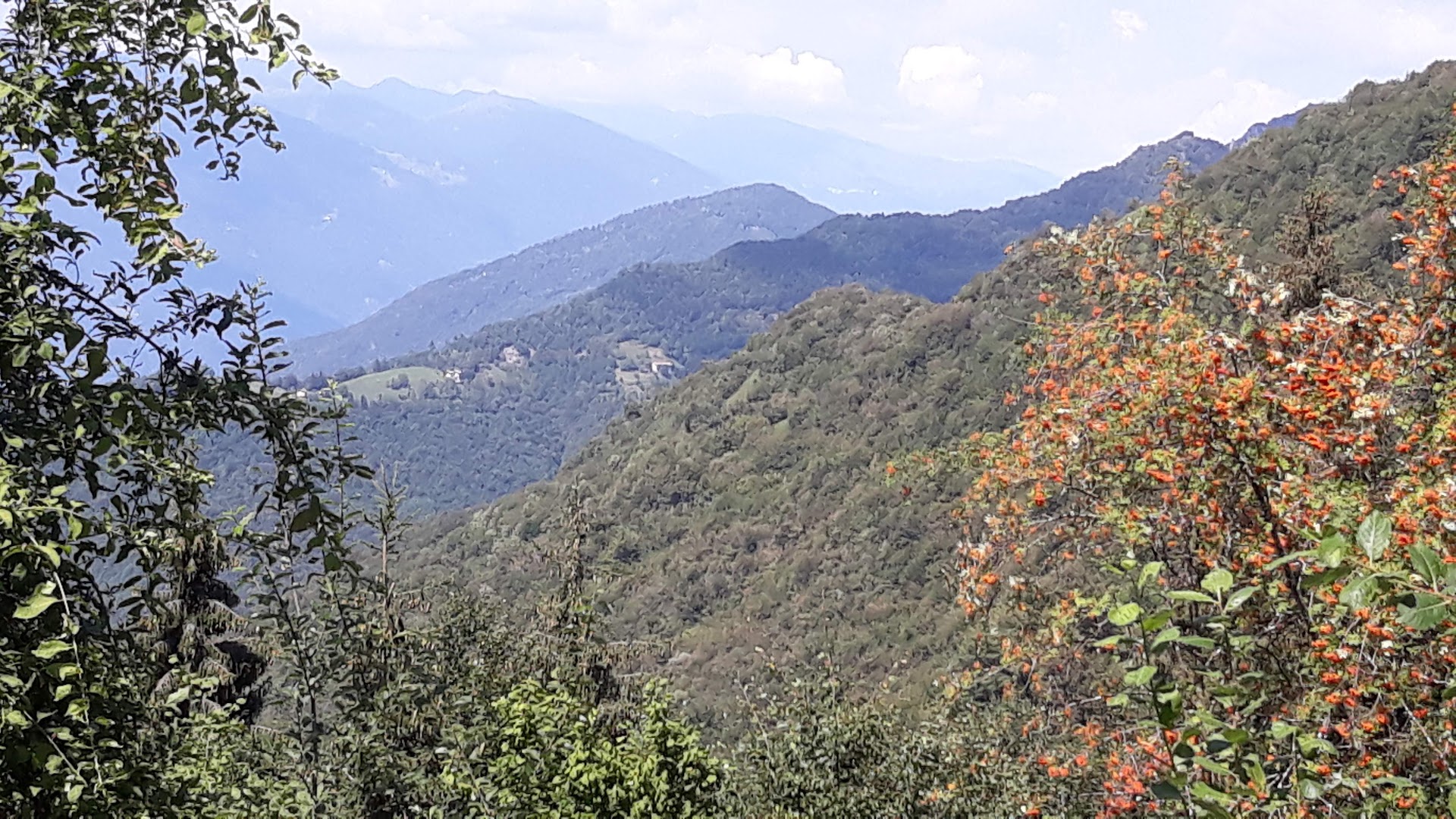 Cavallino della fobbia, Capovalle
