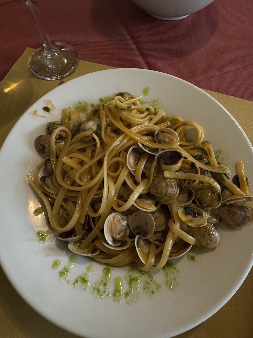 Cavallino