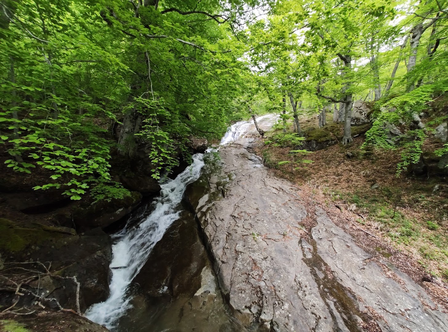 Cento Fonti di Cesacastina