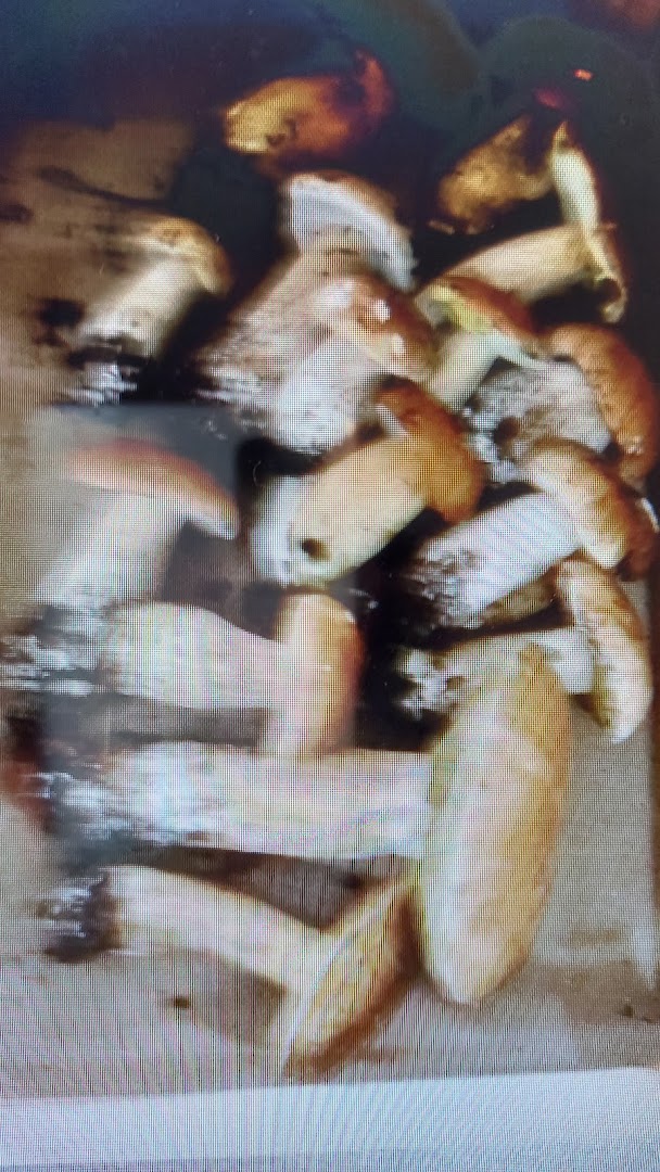 Central Frutta Chiefari