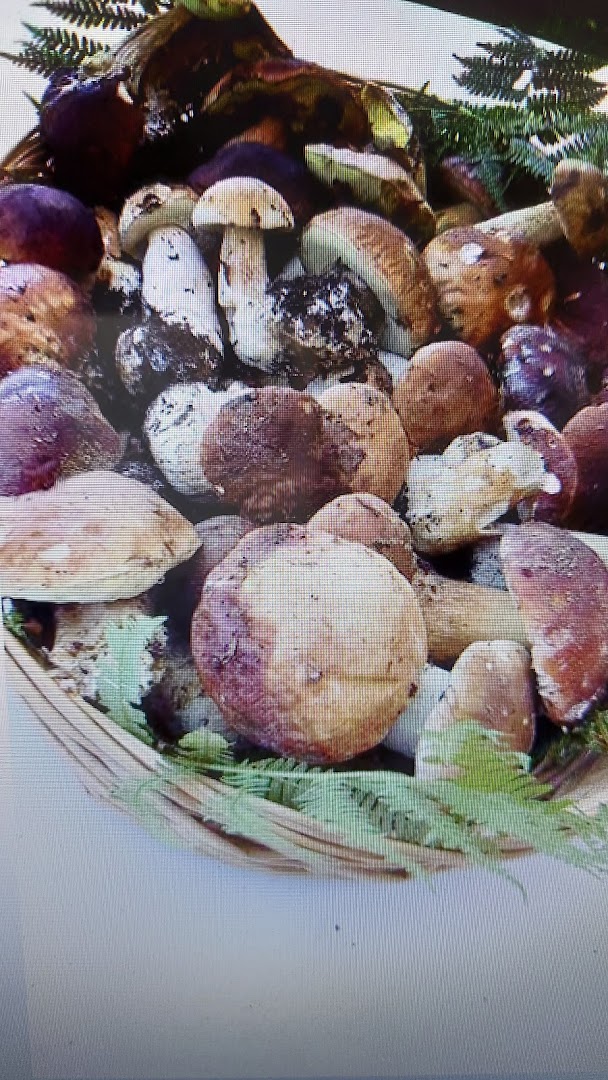 Central Frutta Chiefari