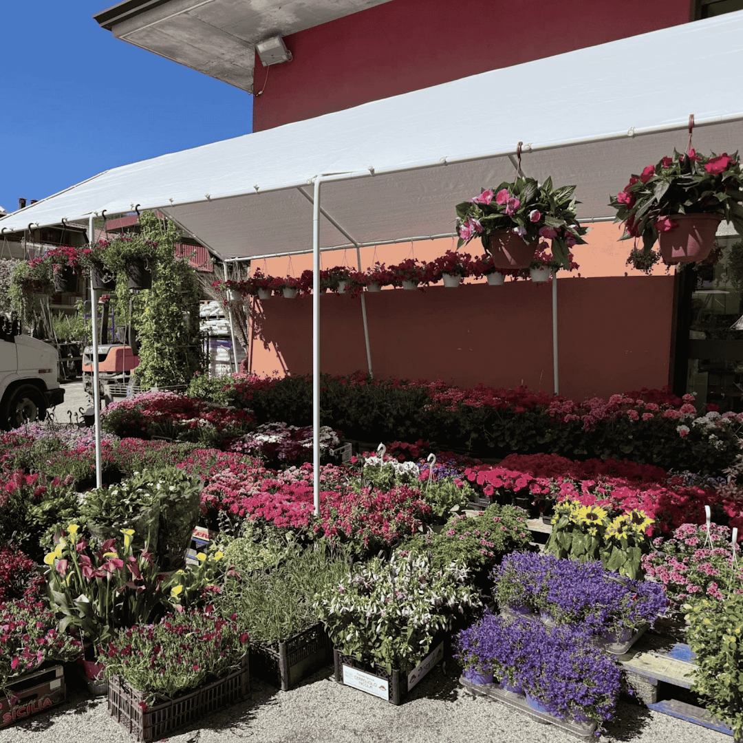 Centro Agricolo