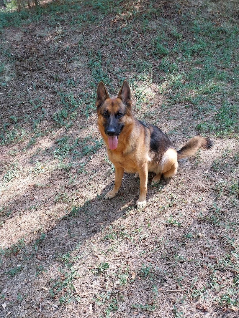 Centro Cinofilo Omega Dog a.s.d.p.s.