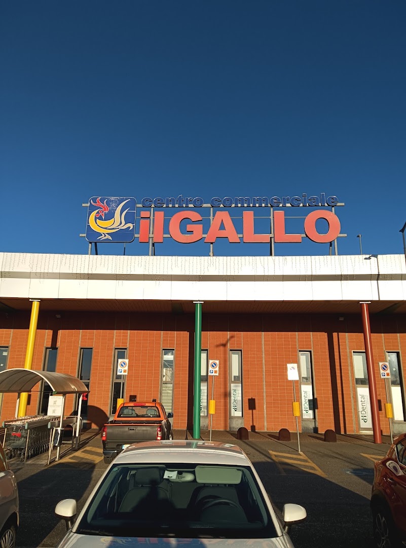 Centro Commerciale Il Gallo Galliate