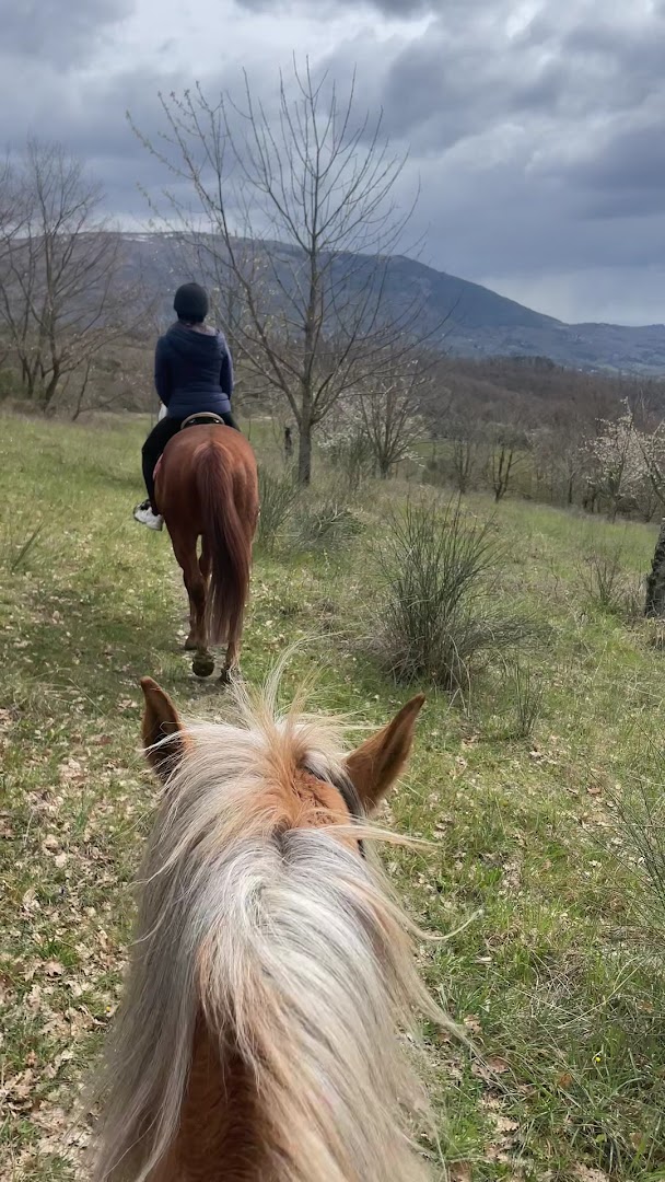 Centro di equitazione Marana