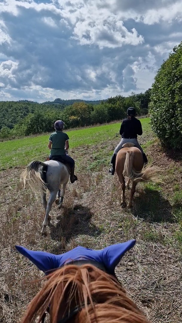 Centro di equitazione Marana