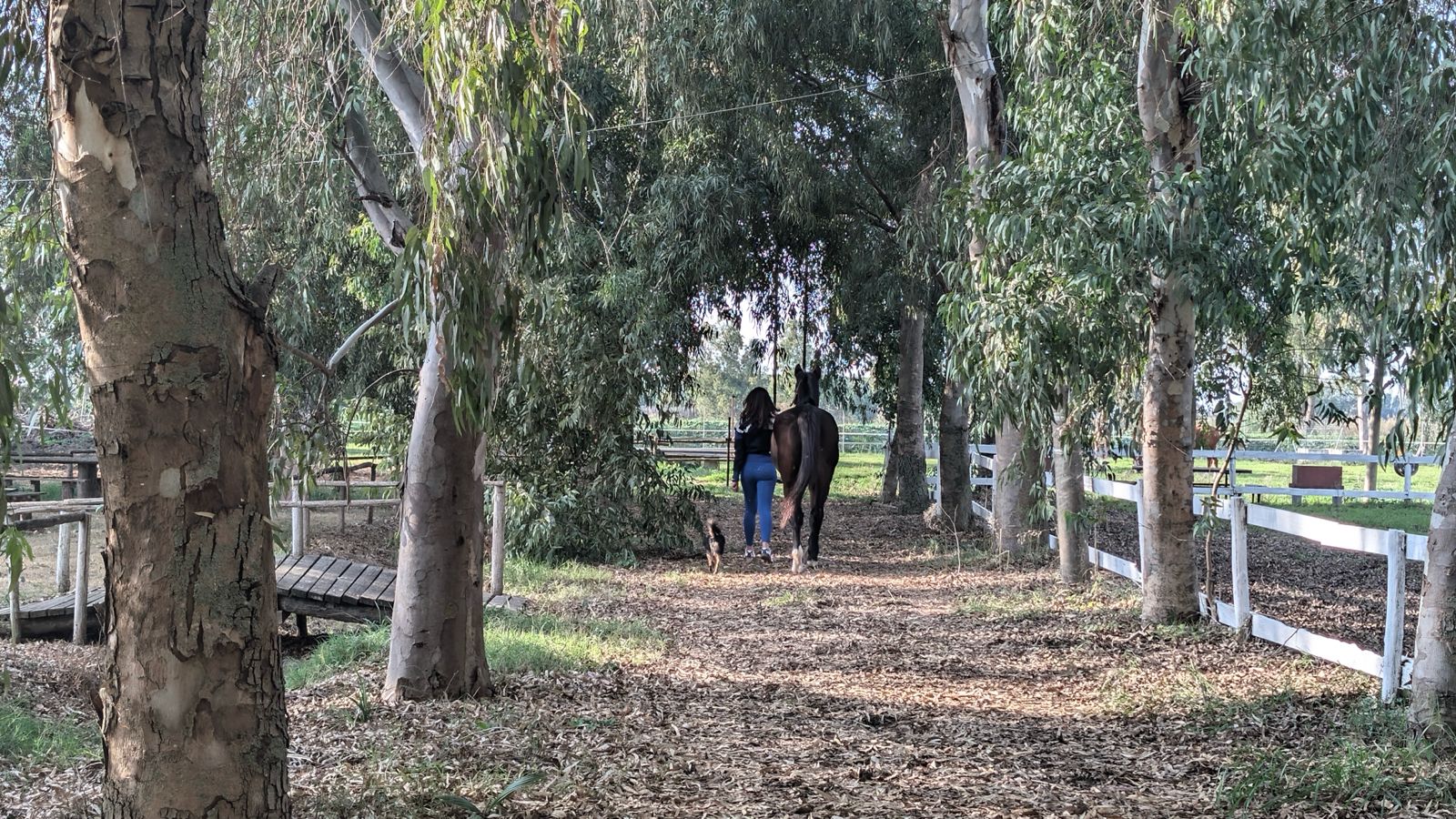 Centro Equestre la Primavera