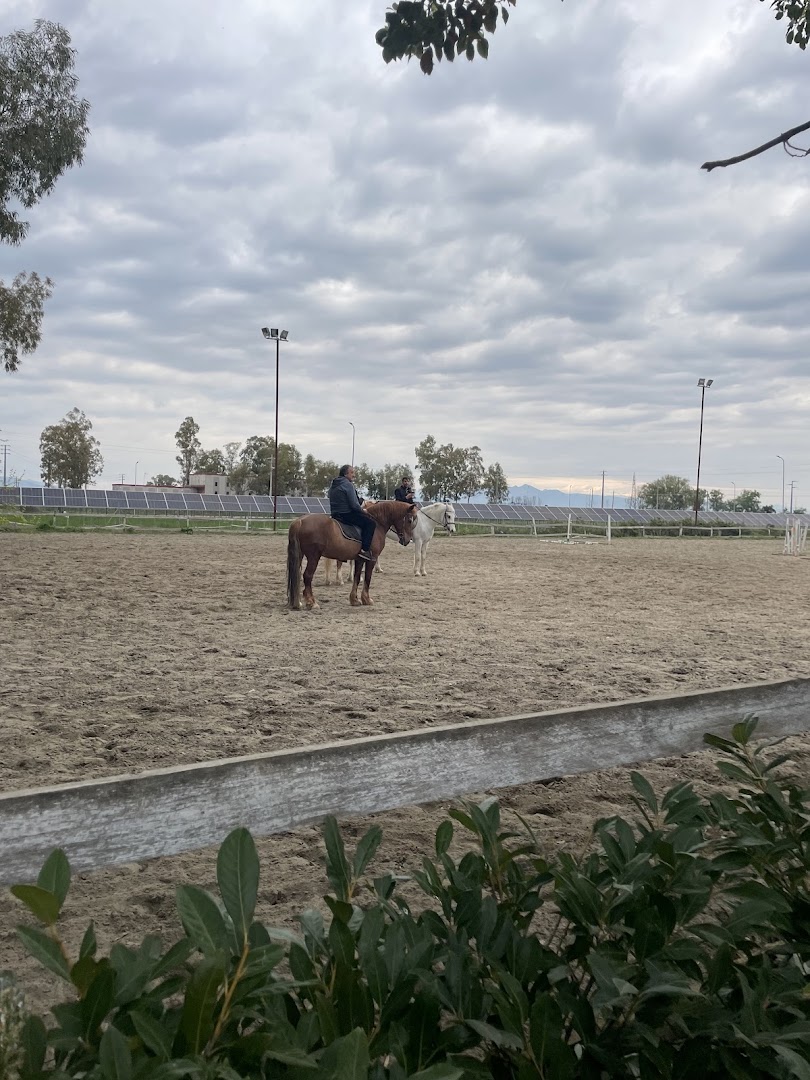 Centro Equestre la Primavera, Castel Volturno