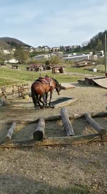 Centro Equestre Trekking Horse