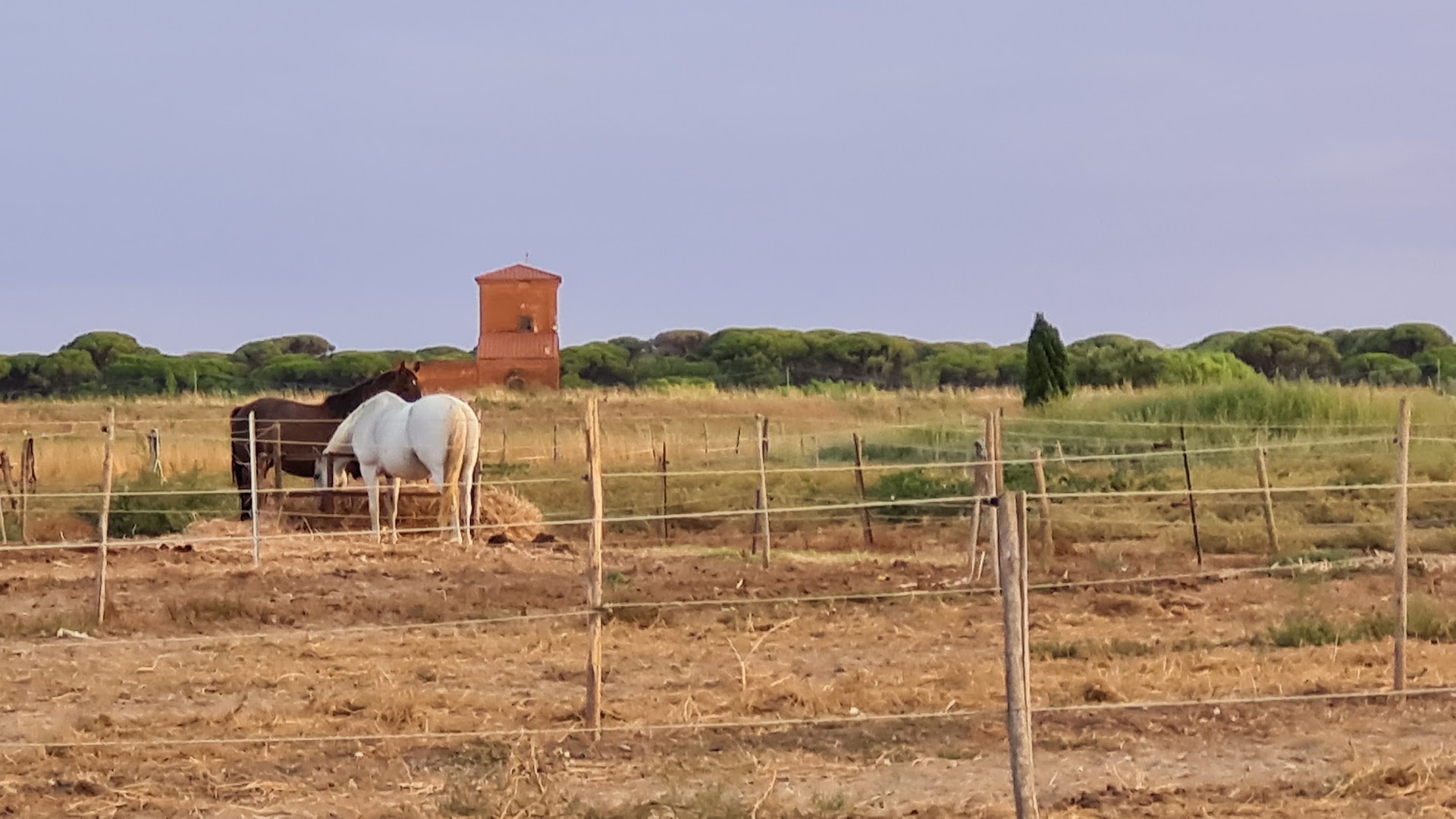 Centro Ippico La Bandita