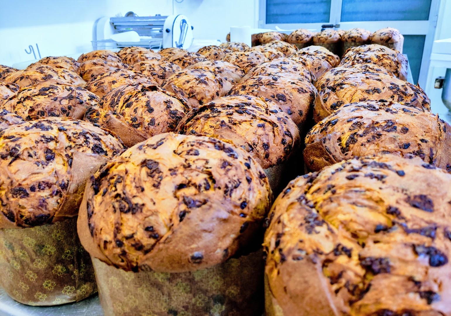 Centro Pane Polverini