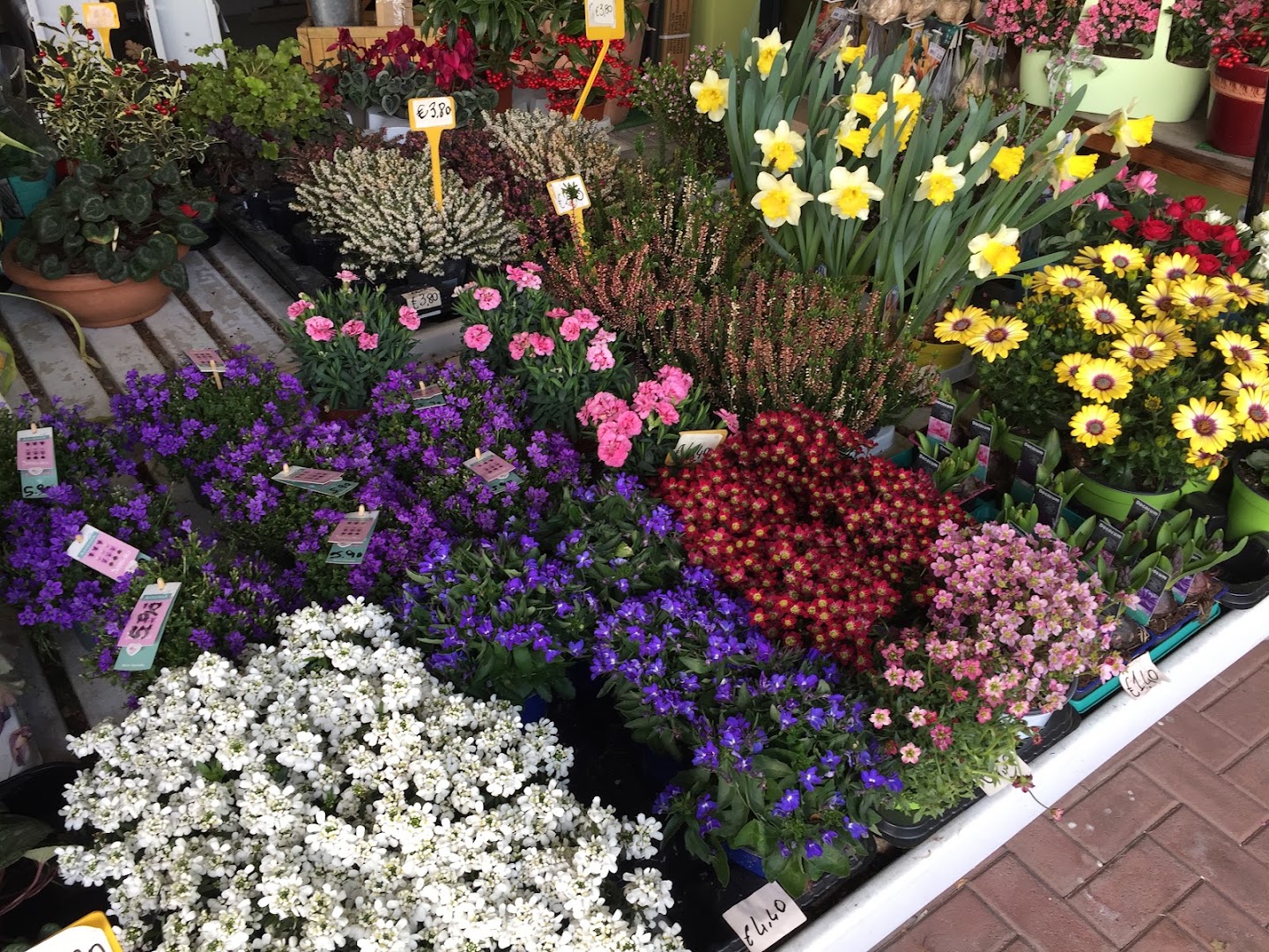Centro Servizi Agricoli Dantomio Gardenstore