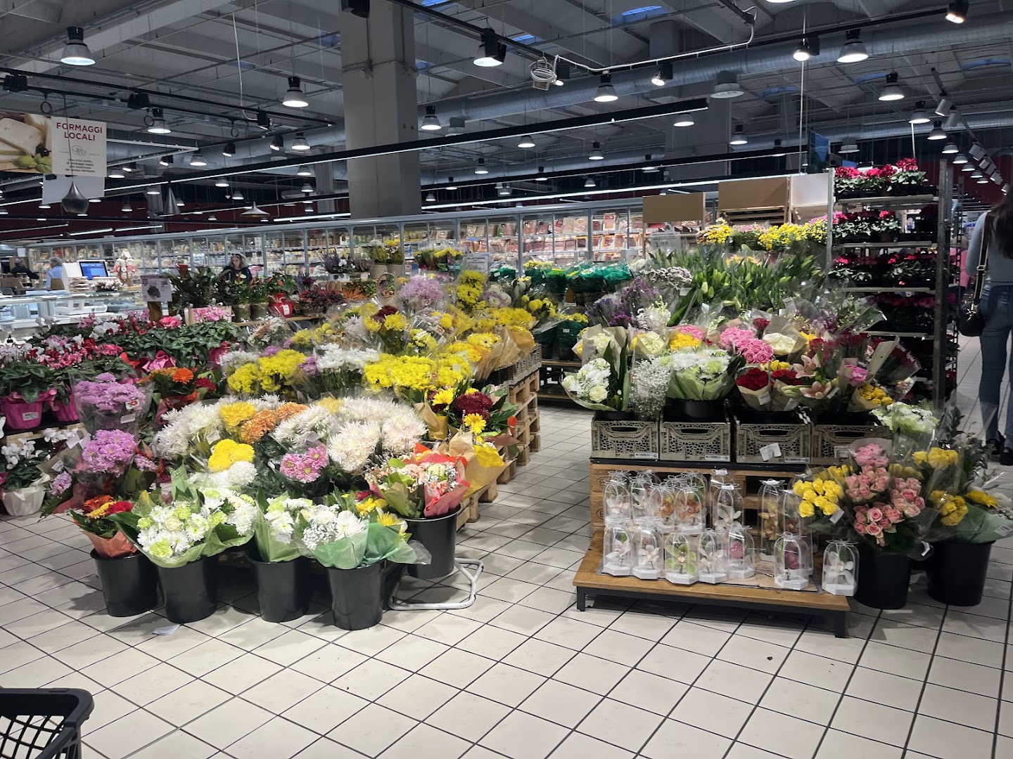 Centro Sesto Coop.fi
