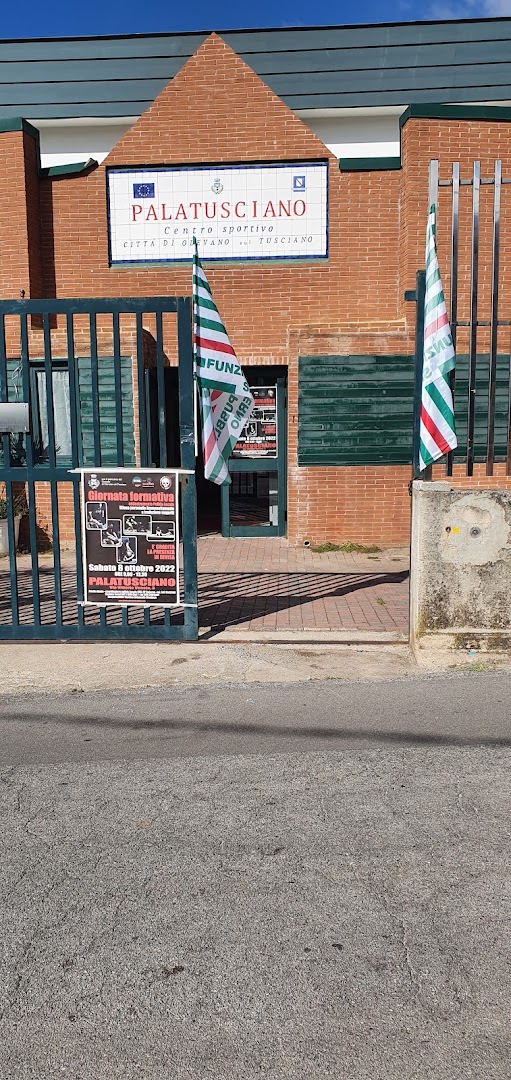 Centro Sportivo Palatusciano