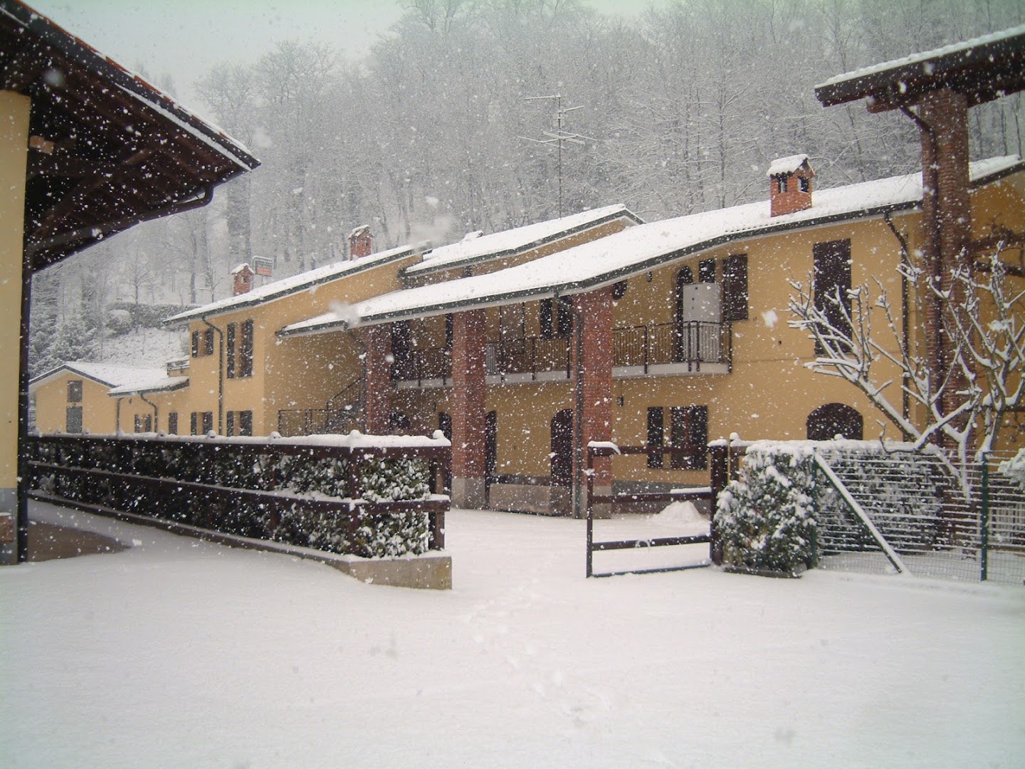 Centro Veterinario Al Lambro