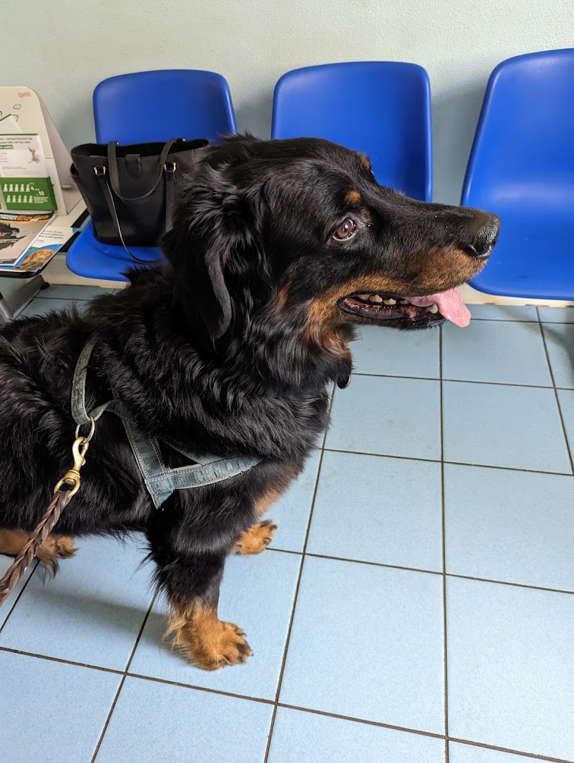 Centro Veterinario Al Lambro