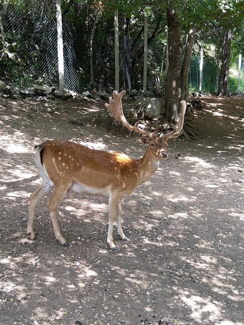 Centro Visita Daini