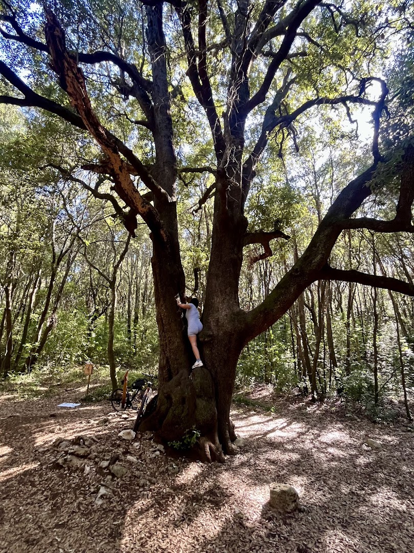 Centro Visite Bosco delle Pianelle