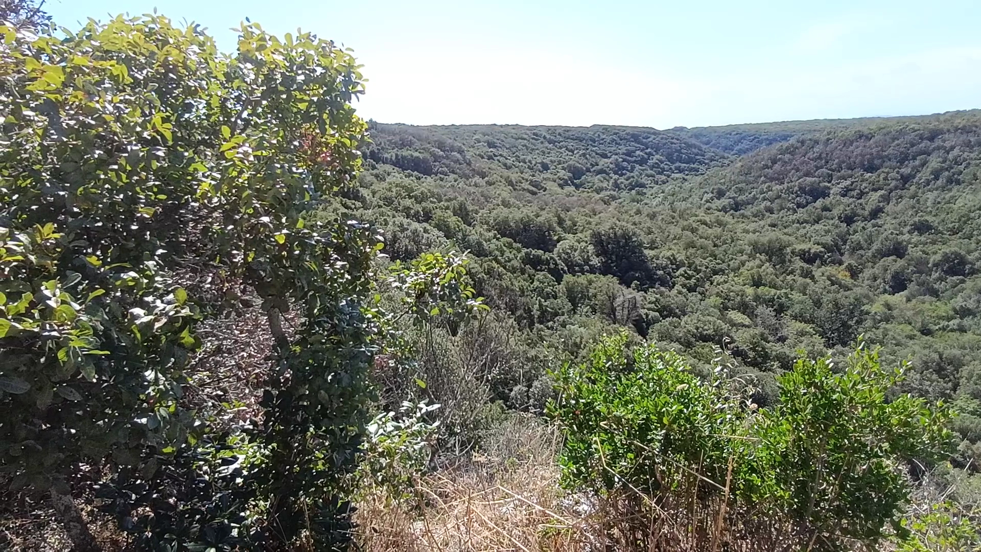 Centro Visite Bosco delle Pianelle