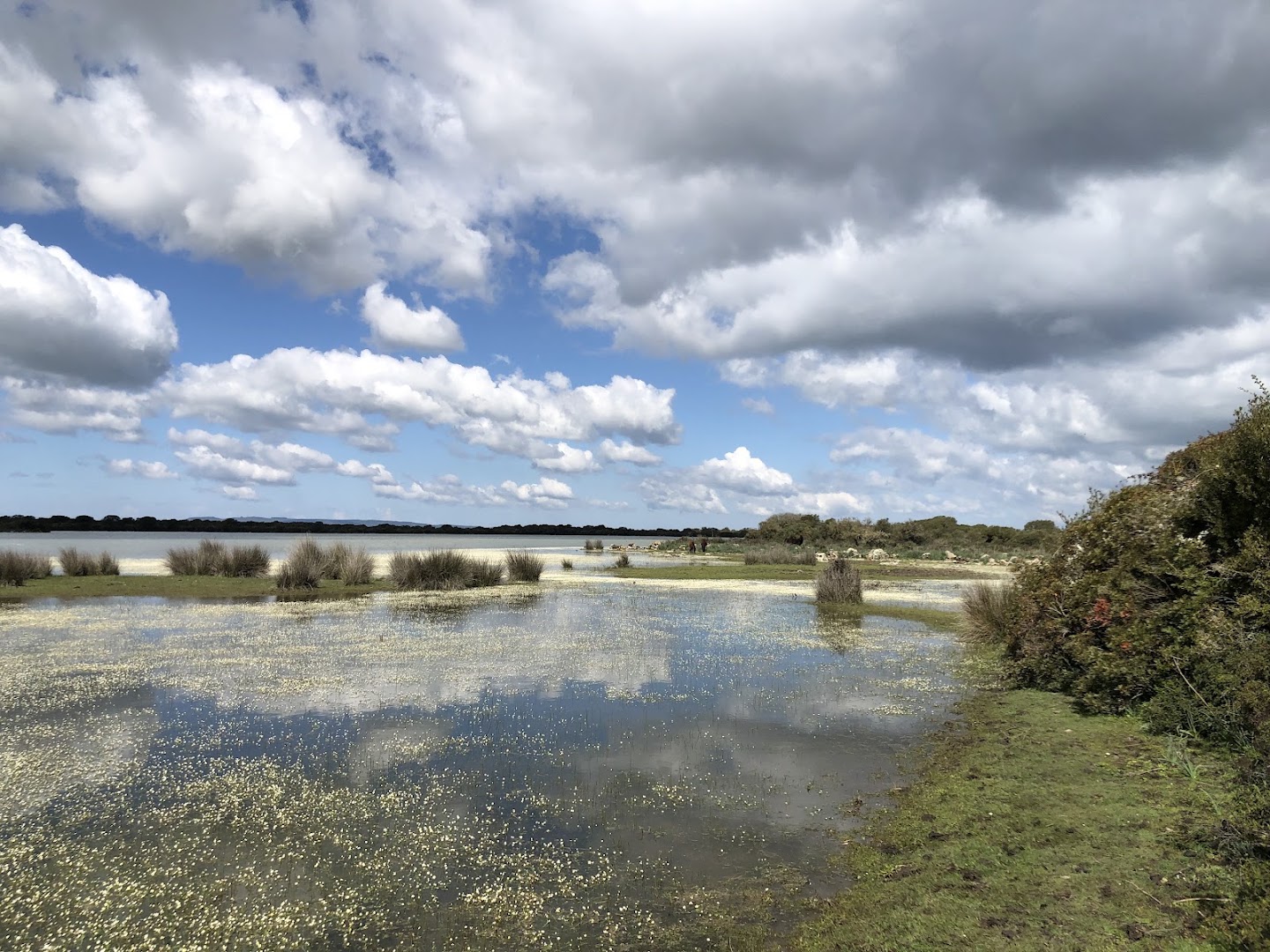 Centro Visite - Punto Ristoro - Parco della Giara