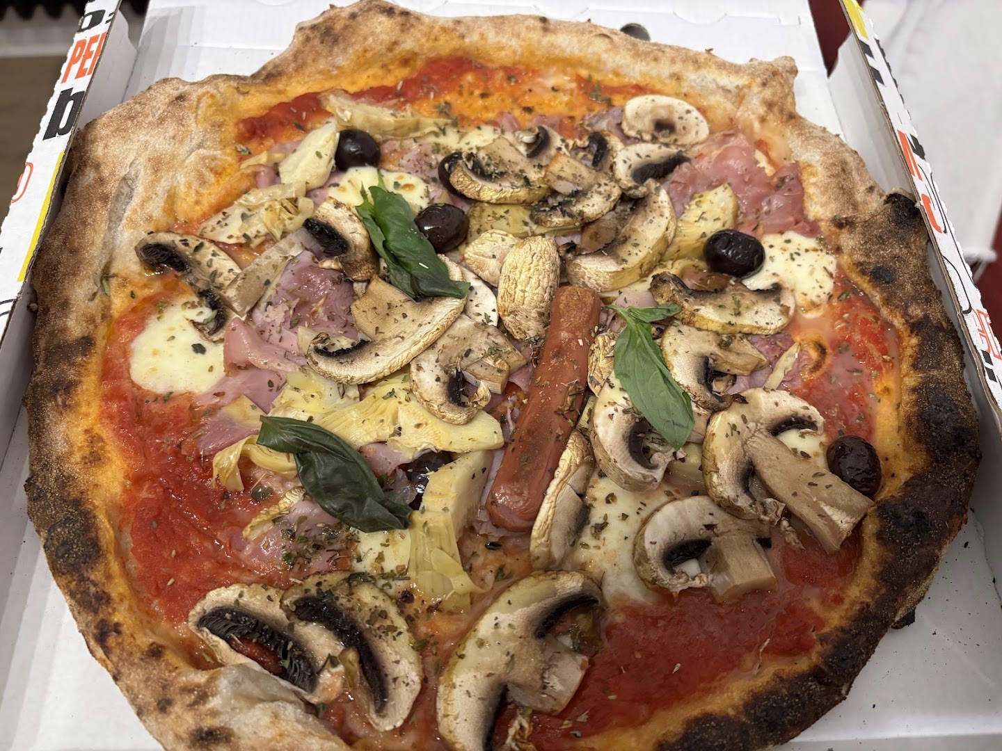 Cerino D'Oro 1977