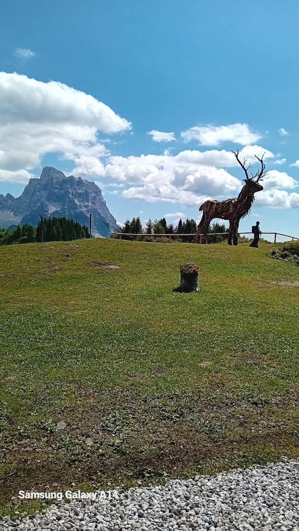 "Cervo Vaia" di Marco Martalar
