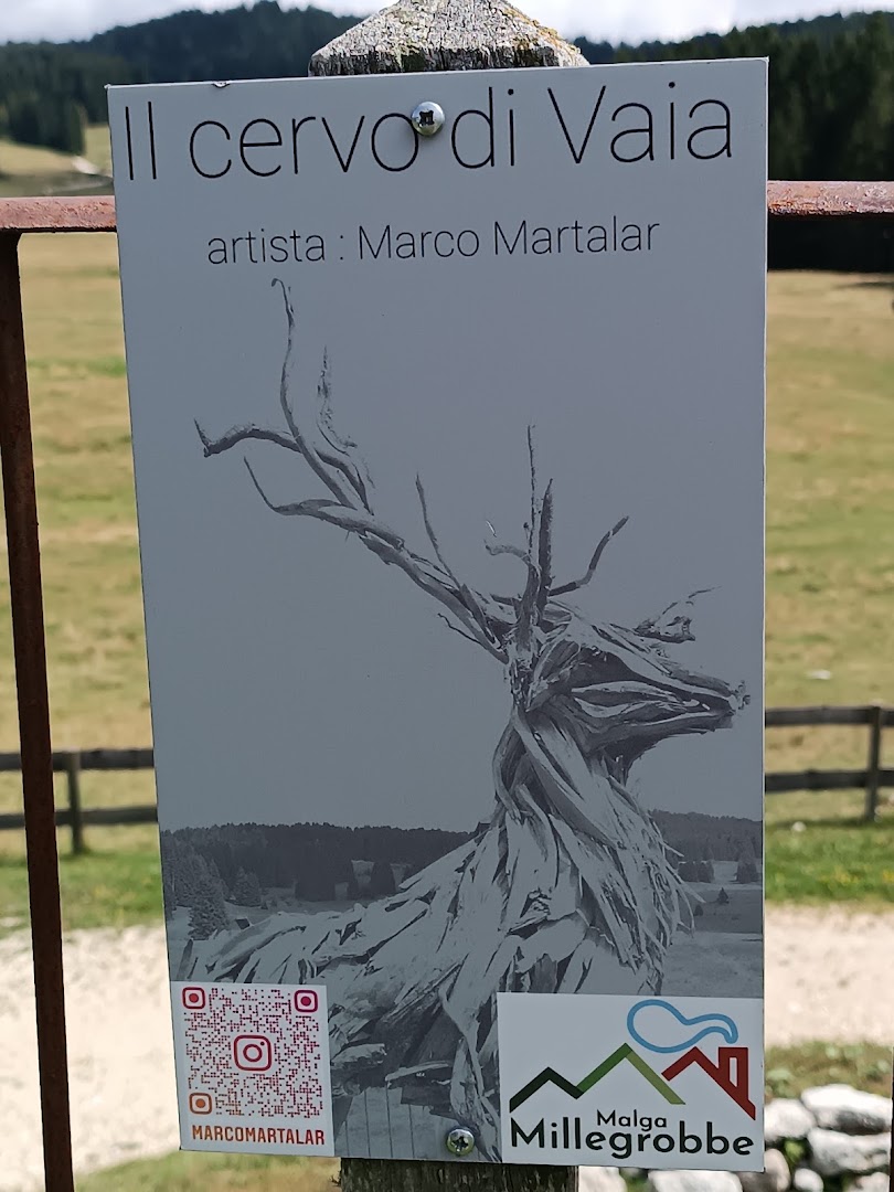 "Cervo Vaia" di Marco Martalar