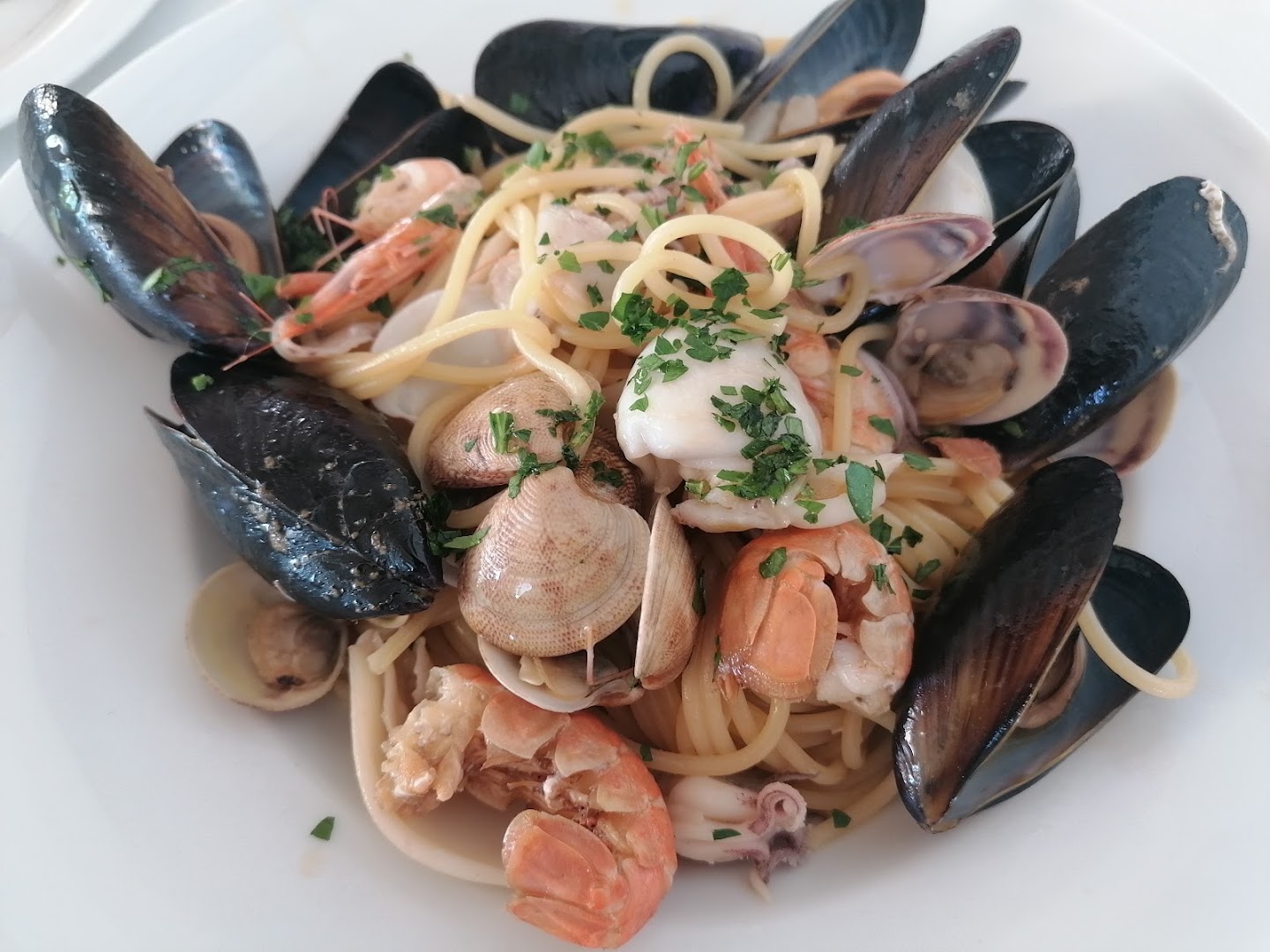 Chalet Blue Marlin