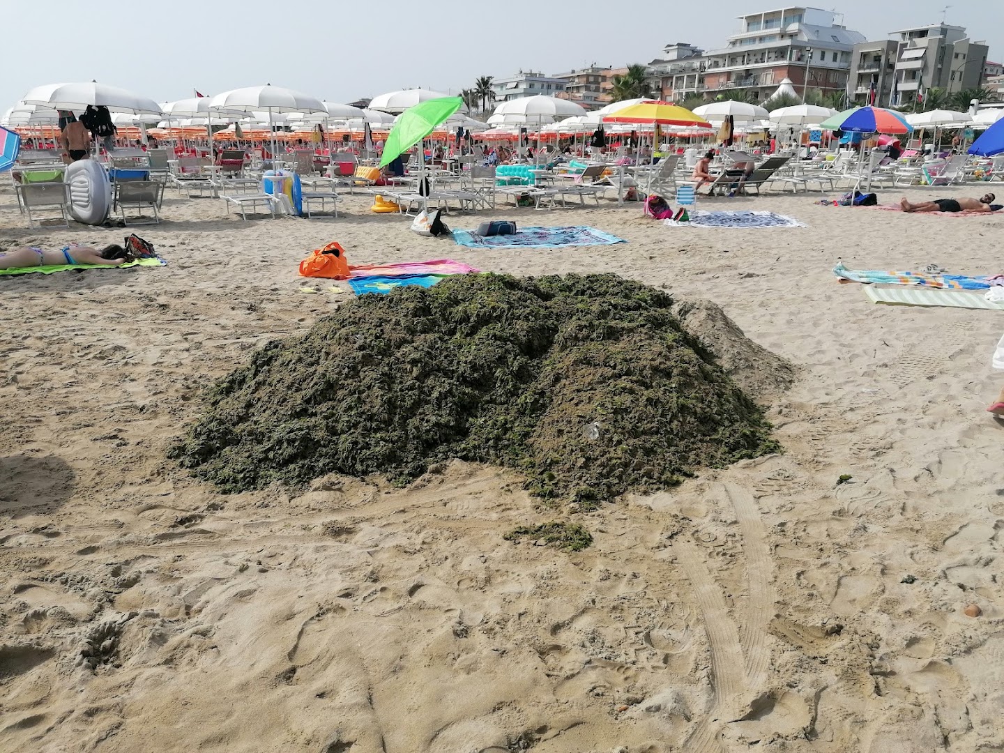Chalet Spiaggia D'Oro di Del Zompo Maria Gemma