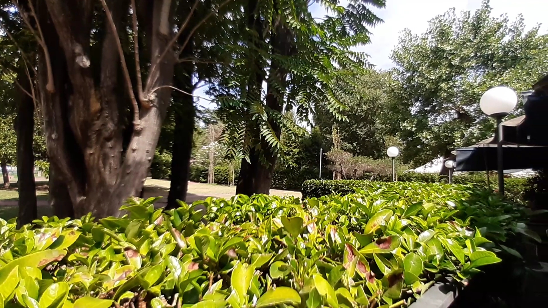 Chalet Verde Rosa's