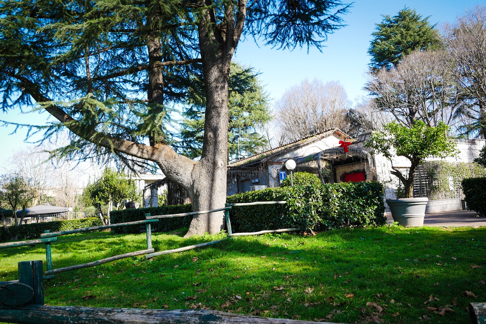Chalet Verde Rosa's