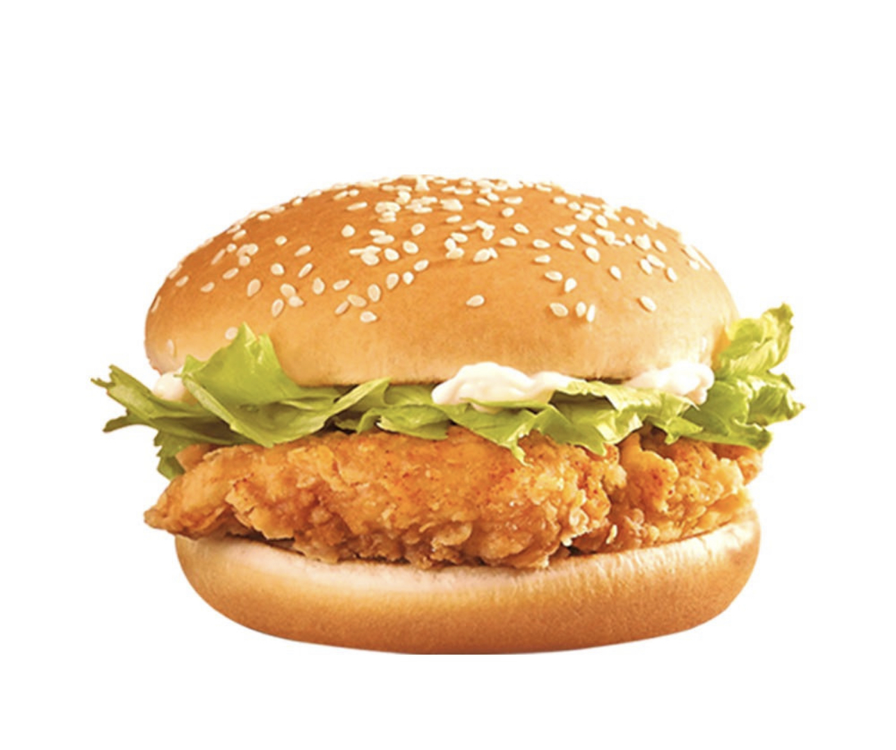 Chicken Plus