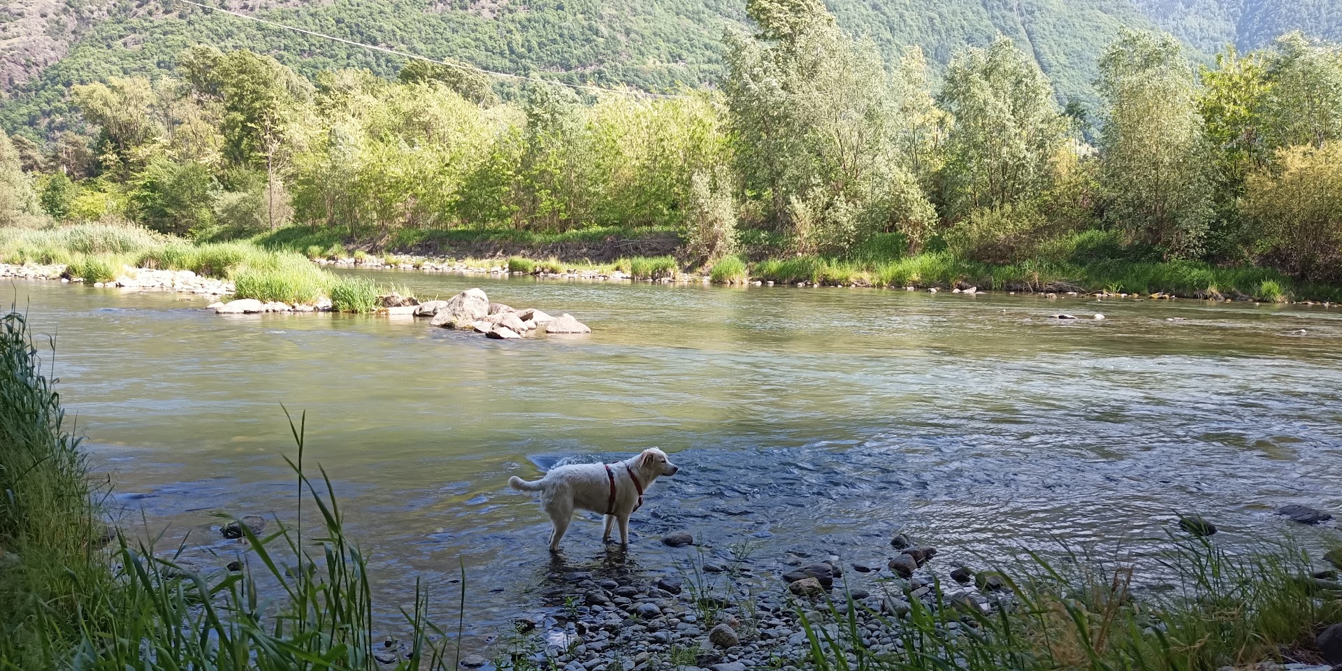 Chiosco del Ponte