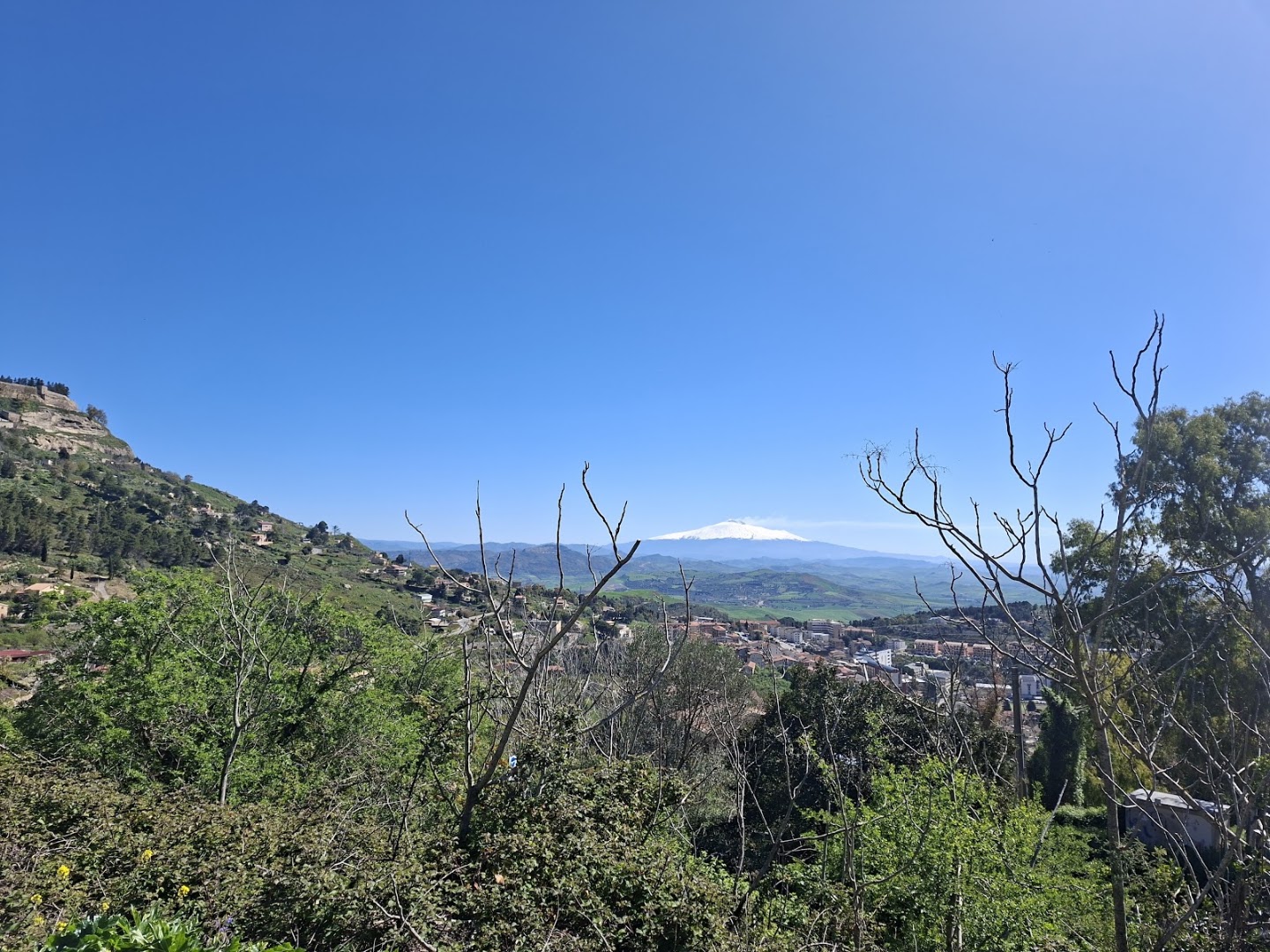 Chiosco Kore Di Bonaccorso Michele