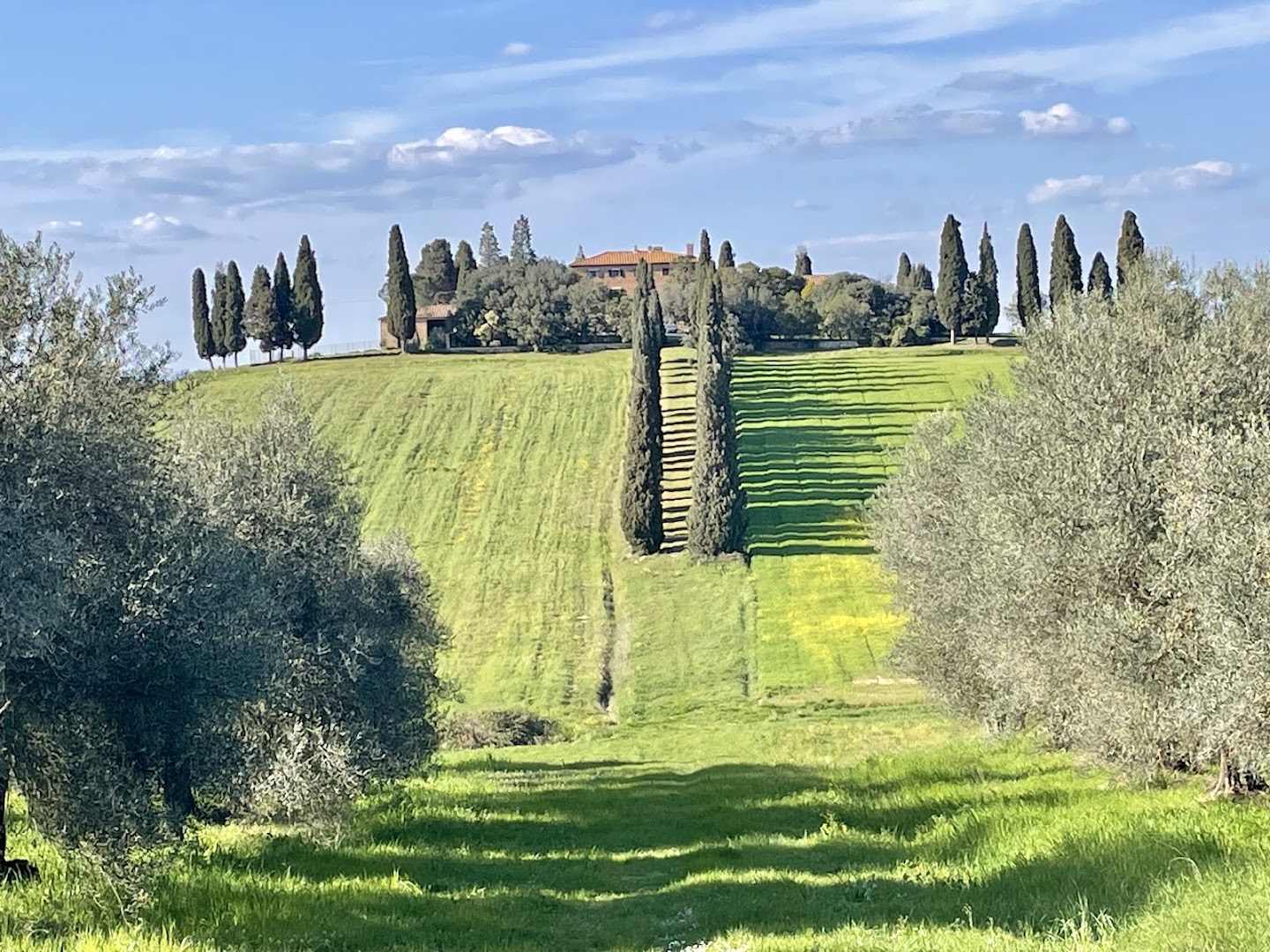 Ciao Fabry Tours