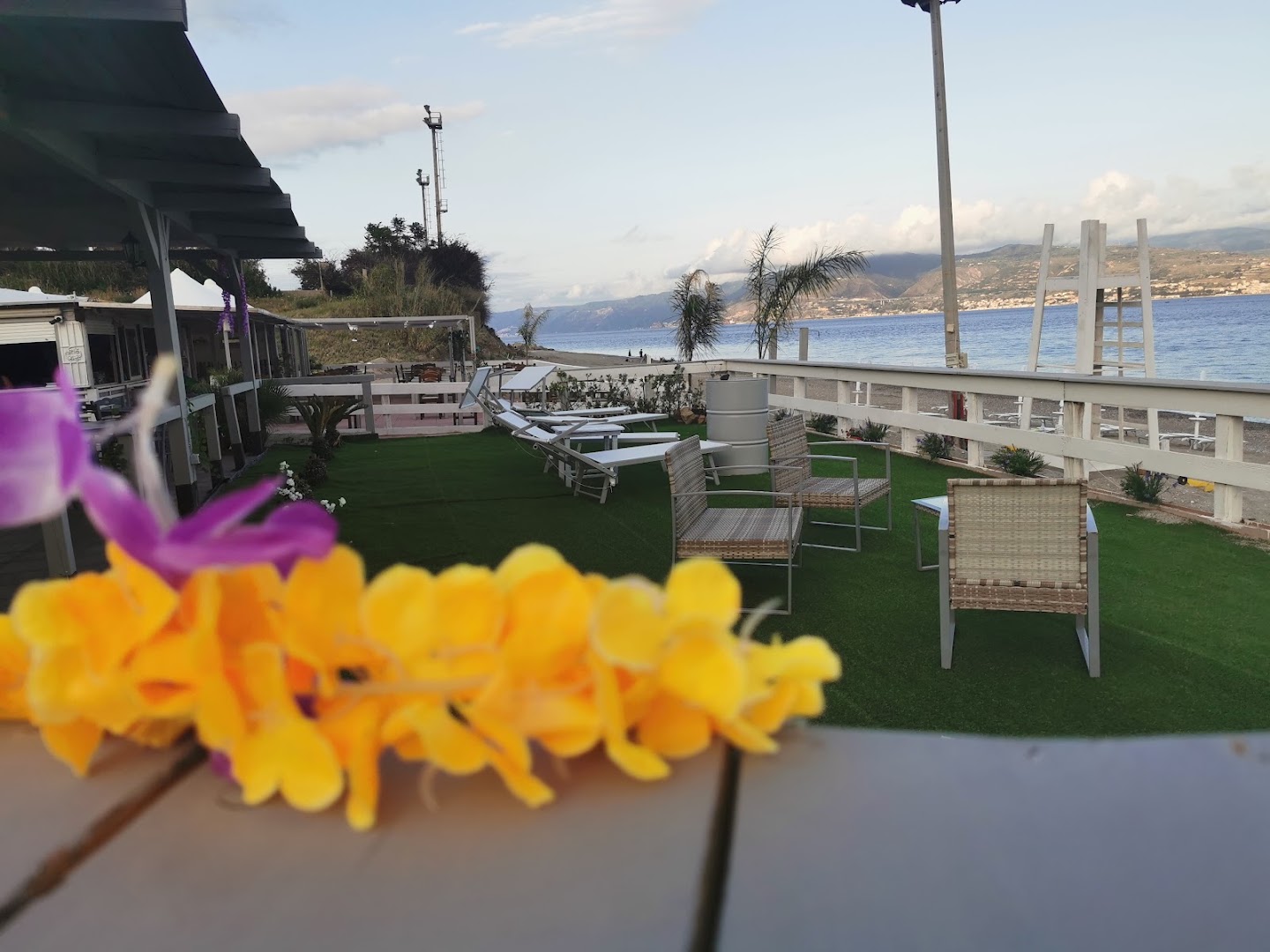 Ciauru di mare - Lido