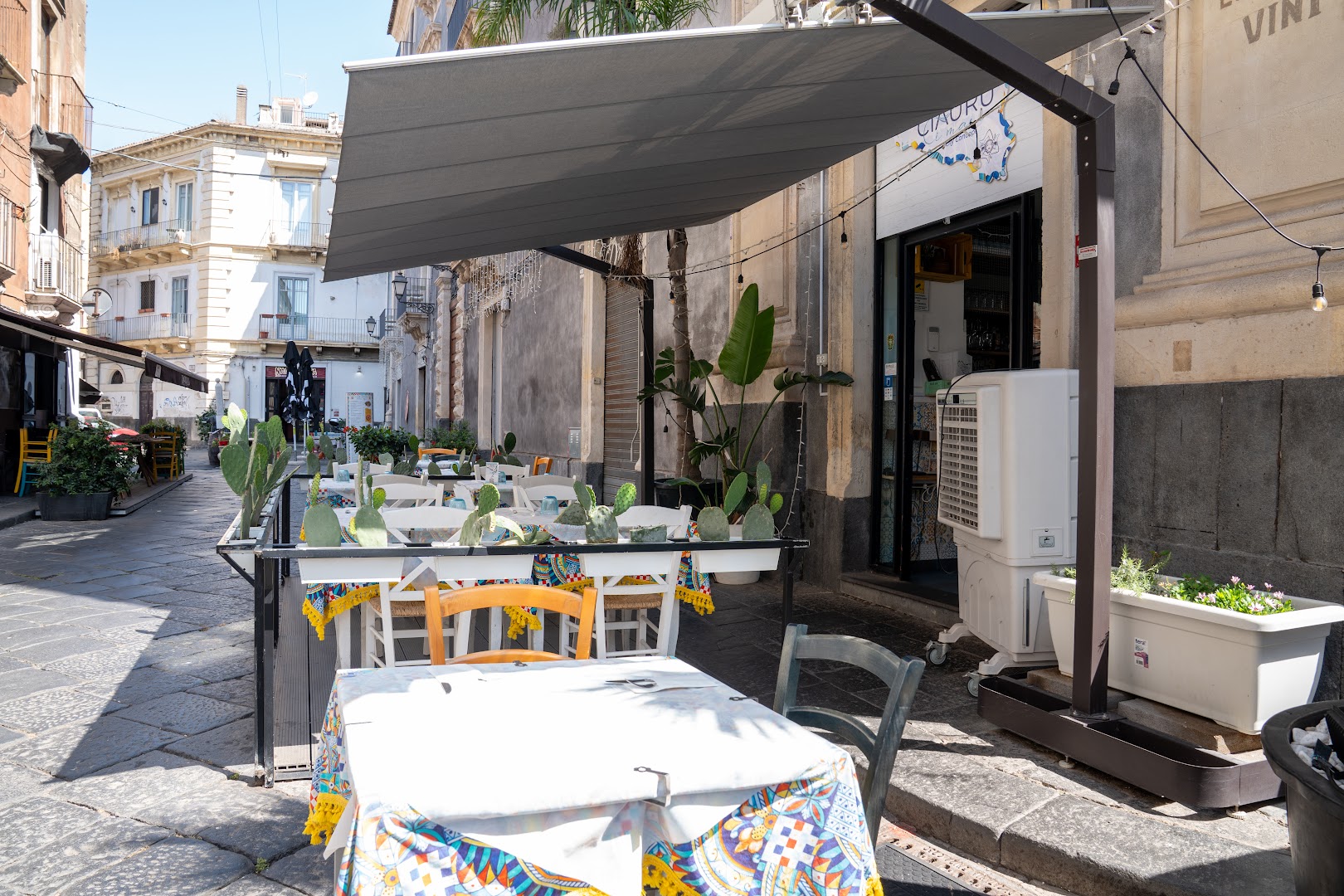 Ciauru i mari, Catania