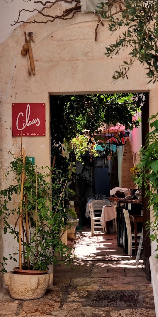 Cibus