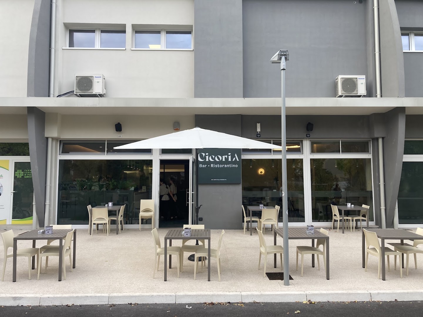Cicoria Cafè Gourmet