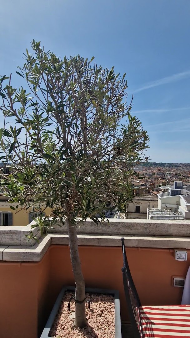 Cielo Rooftop