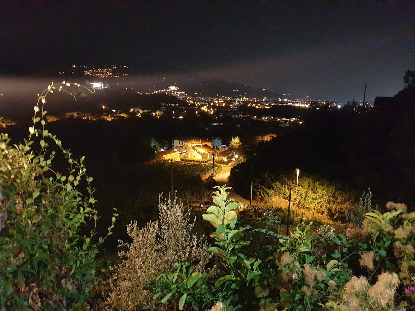 Cima