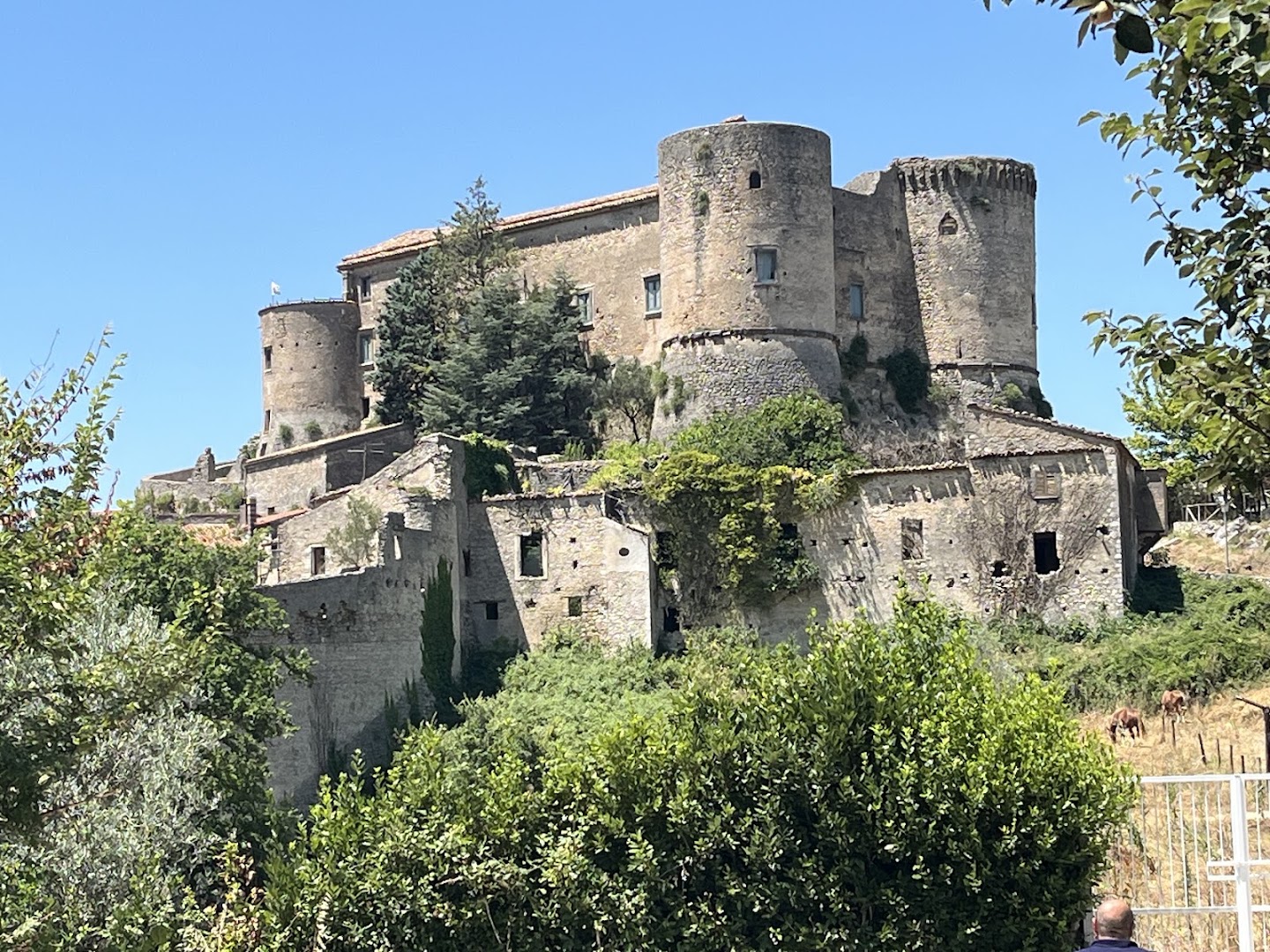 Cipresseta di Fontegreca - Informazioni e Visite Guidate