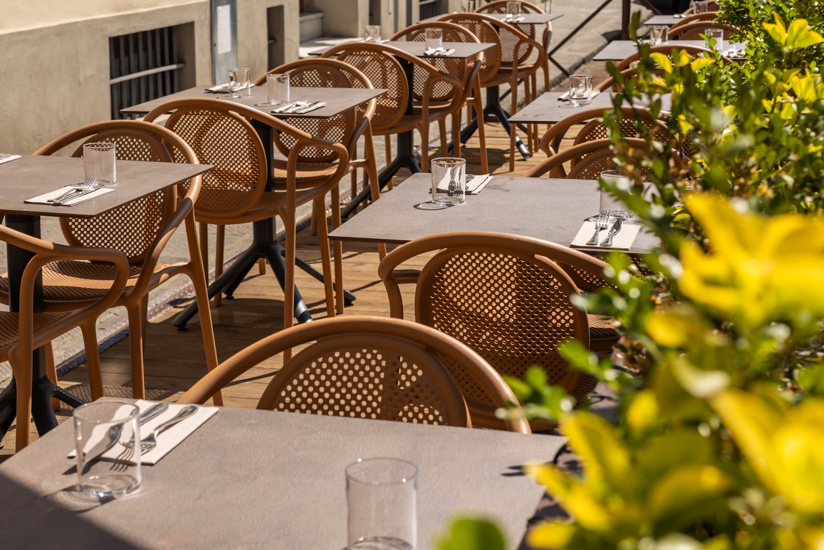 Cipriano Pizzeria