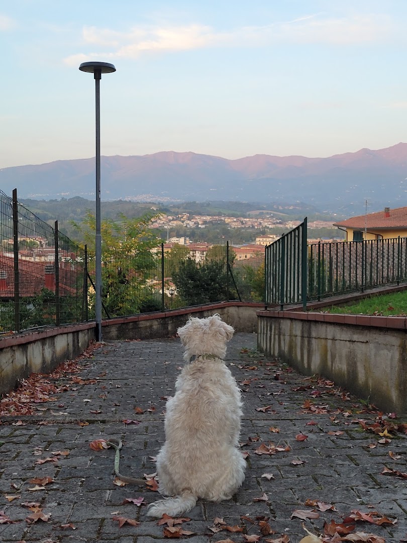 Circolo Amicizia