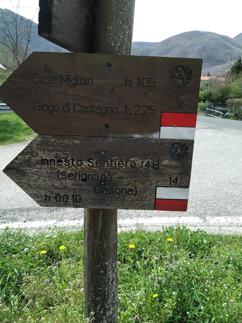 Circolo Arci 8 Dicembre - Arnaldo Amadei A.P.S.