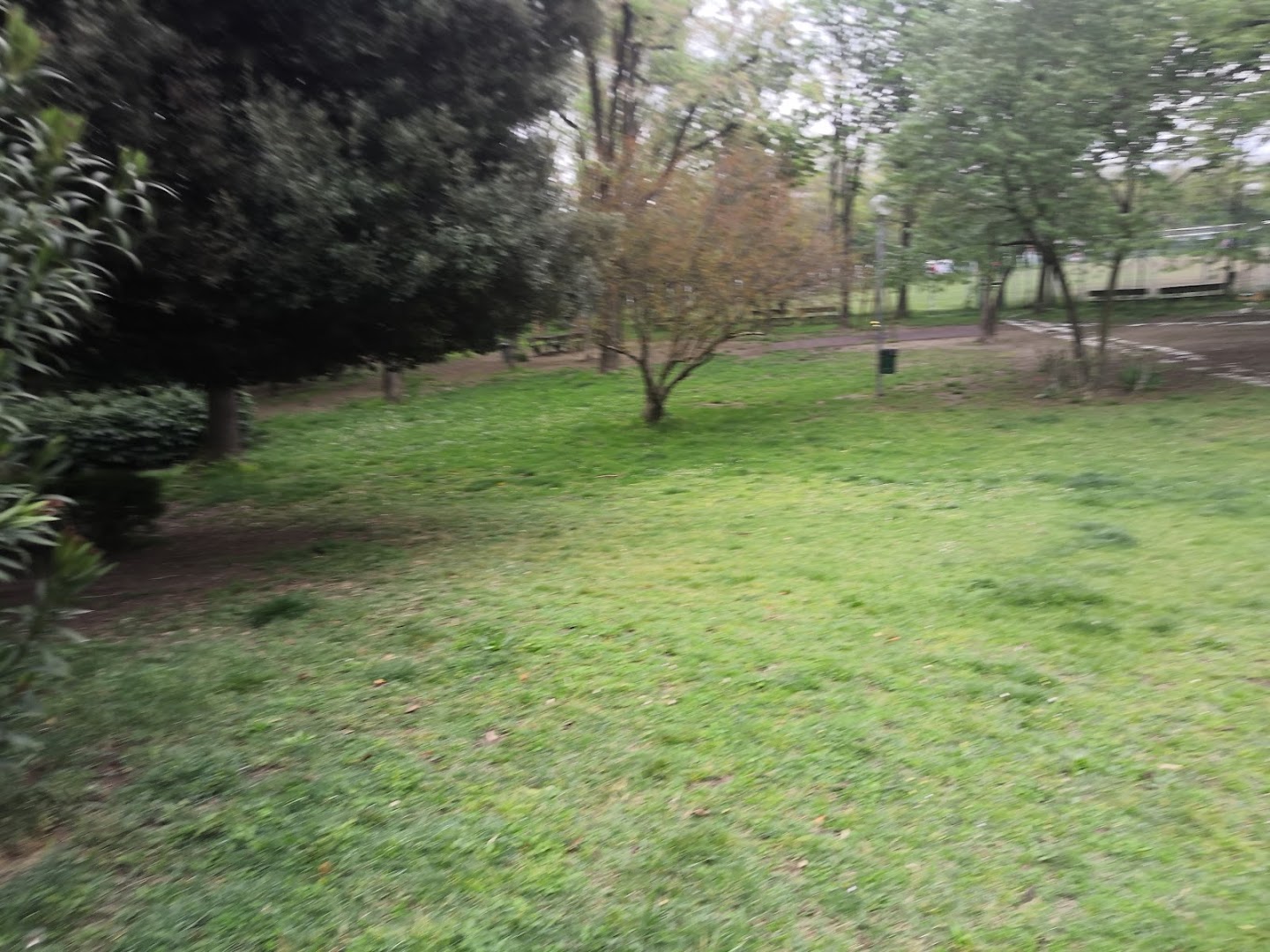 Circolo ARCI "M. Trigari" Via Bertini (BO)