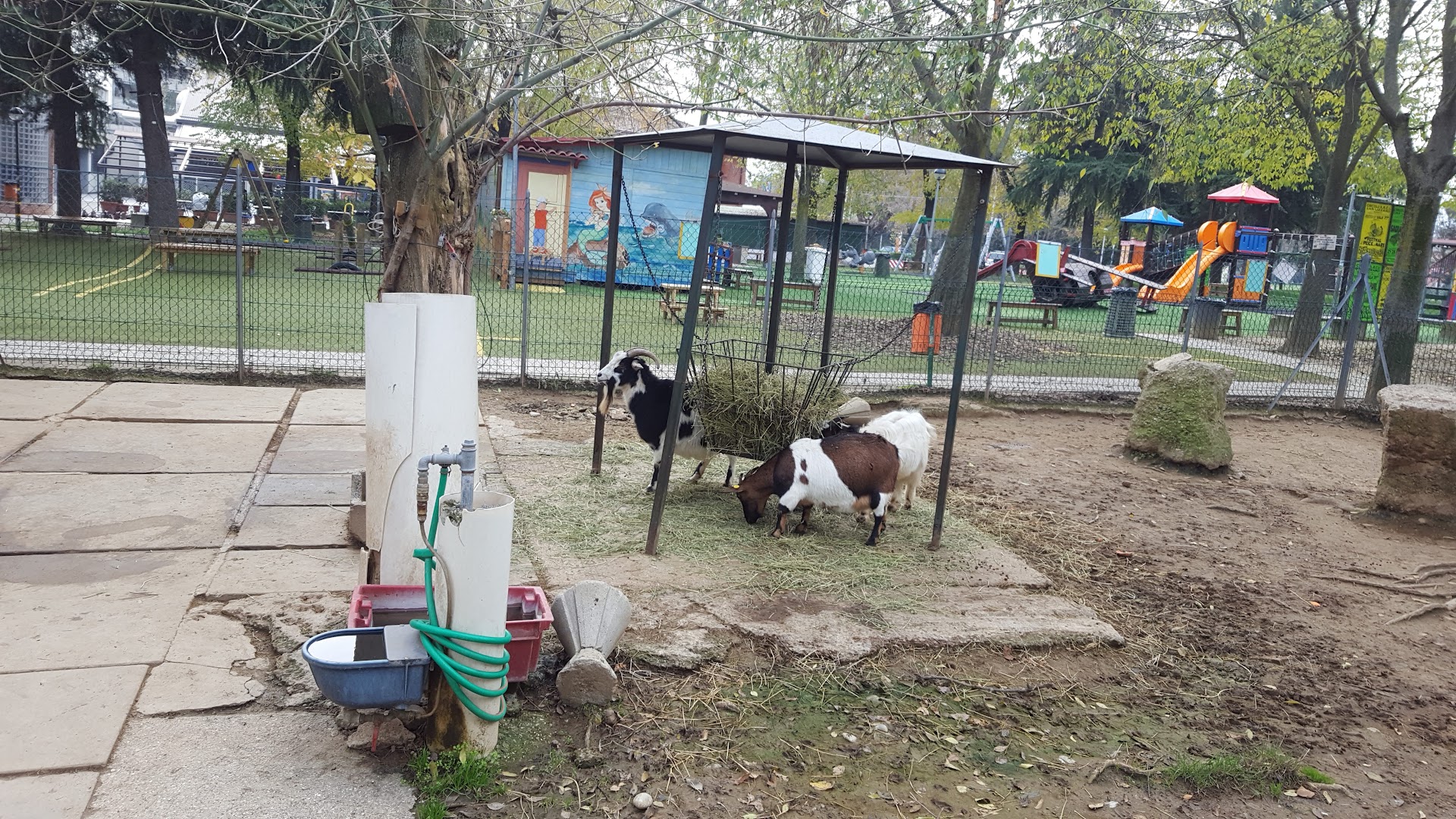 Circolo ARCI San Lazzaro