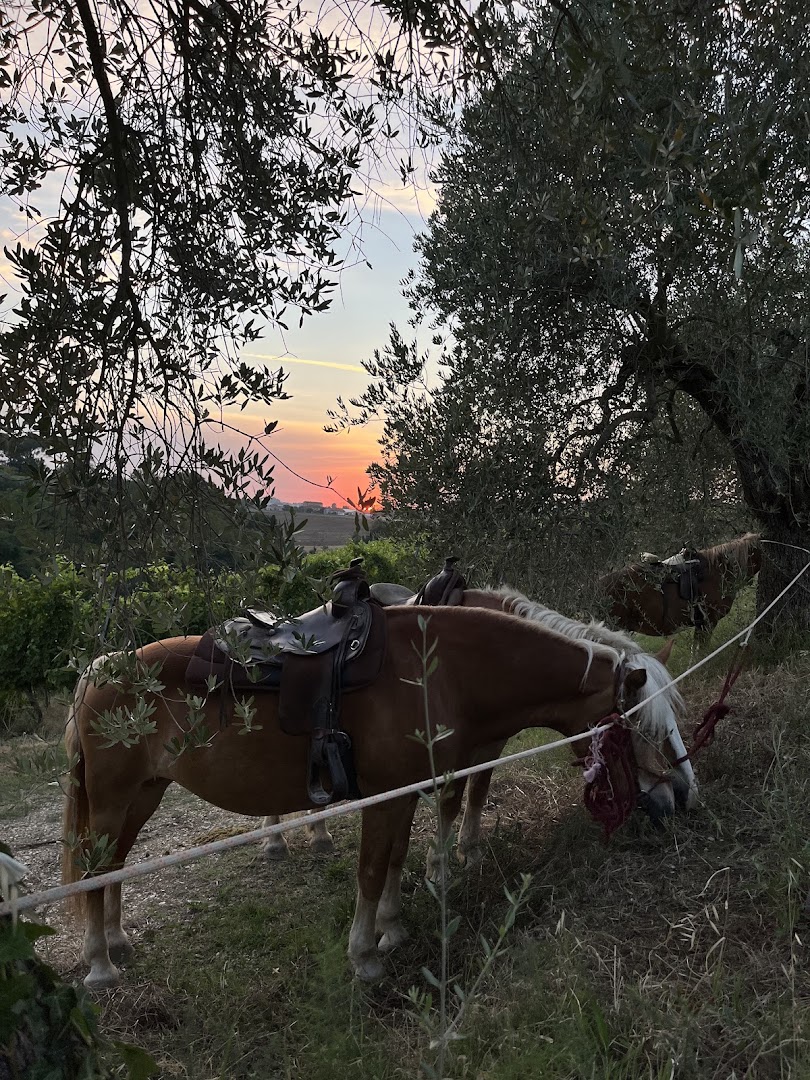 Circolo della Natura