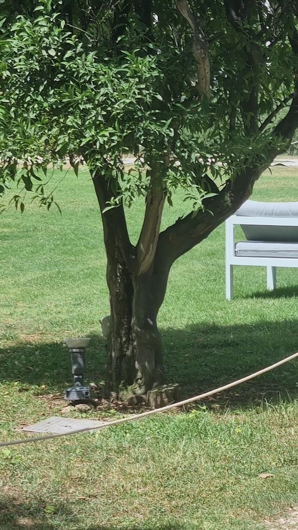 Circolo Golf Palermo "Parco Airoldi"