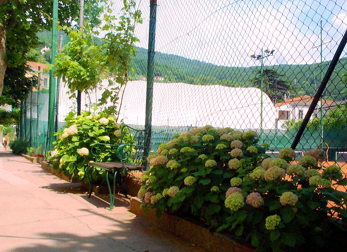 CIRCOLO MARINA MERCANTILE "NAZARIO SAURO" ASD - TENNIS